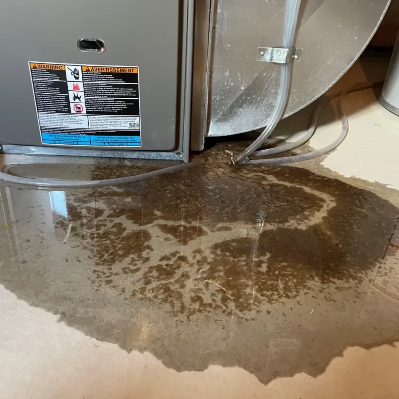 Appliance Leak Cleanup in Port Salerno, FL